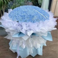 ڳʻٵ