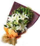 ڳʻٵ